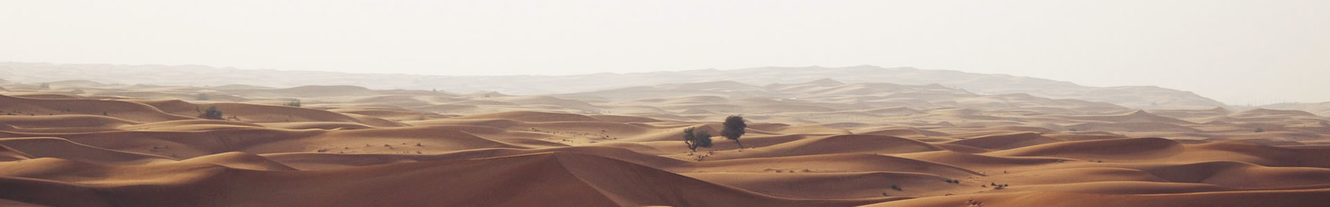 չżҰҵ޹˾